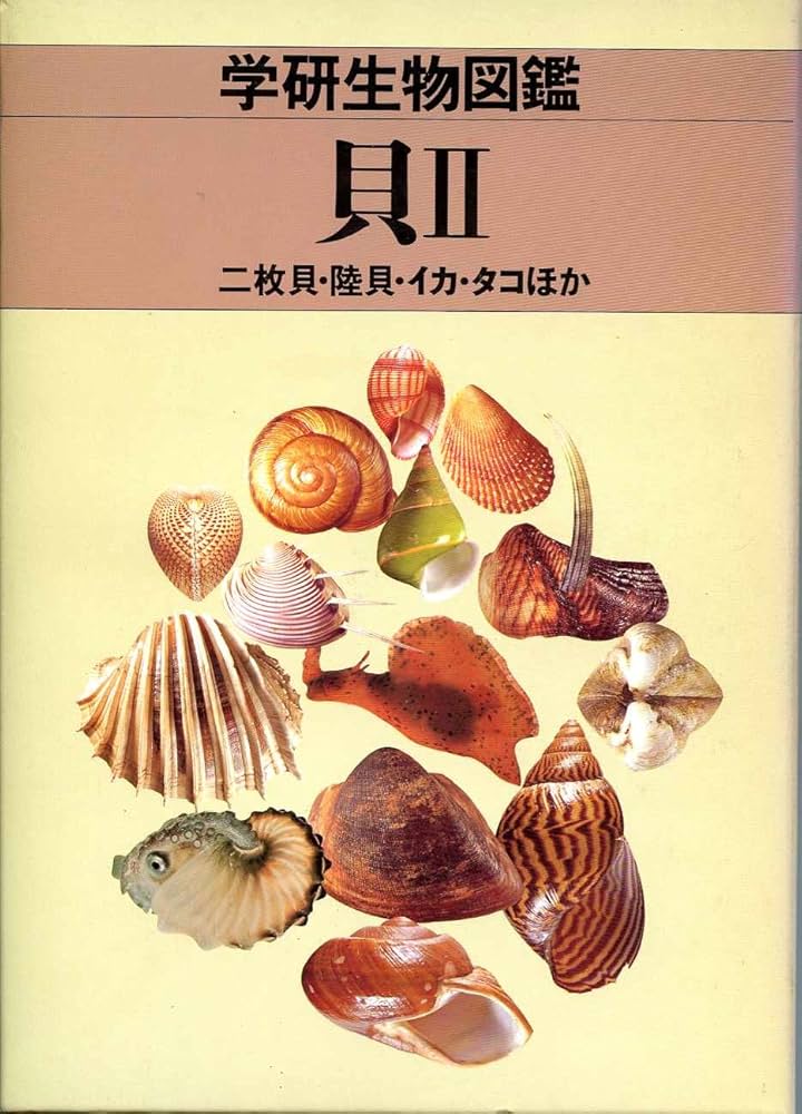 貝殻標本　イガギンエビス② 貝II 二枚貝・陸貝・イカ・タコほか (学研生物図鑑) | 奥谷 喬司